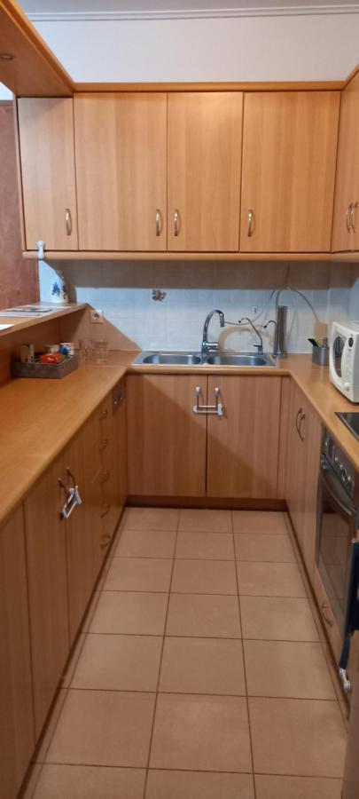 Vasi Apartment Markopoulo Mesogaias Luaran gambar